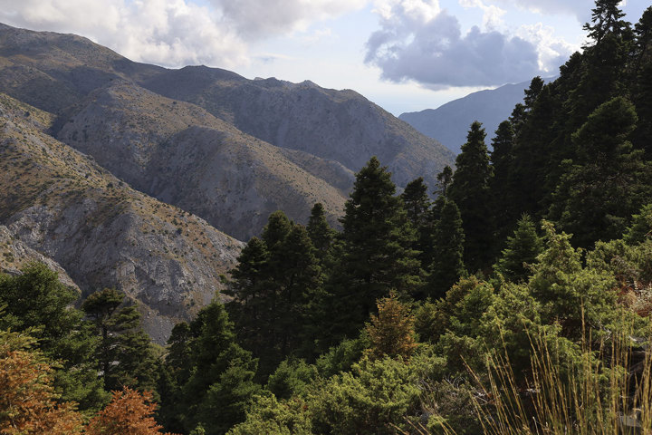 Hiking Mount Pyxarias Evia Greece 5