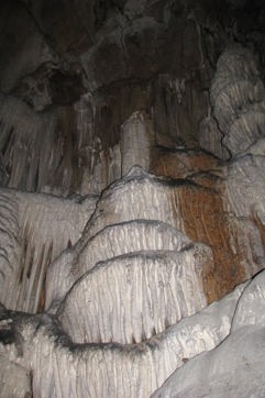 IMG 0102