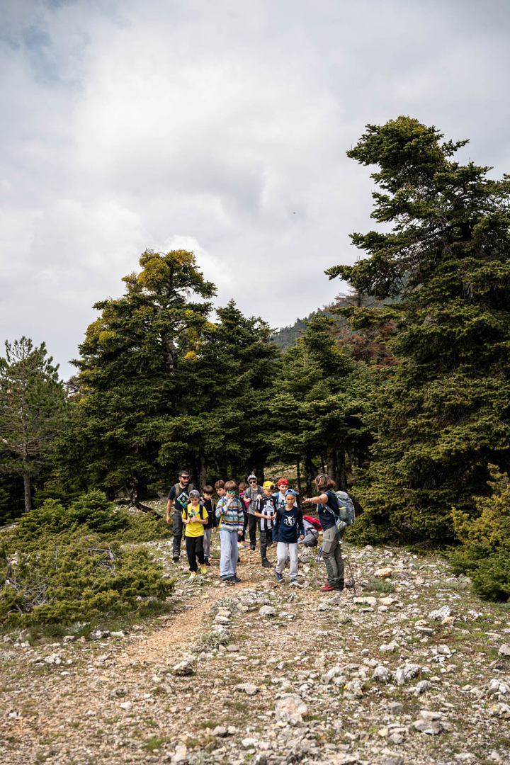 Dsc05886hirespaidiko Site Gallery