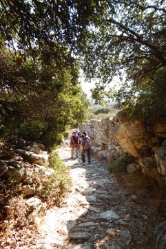 DSCN3984 Naxos Hike Pente Xoria