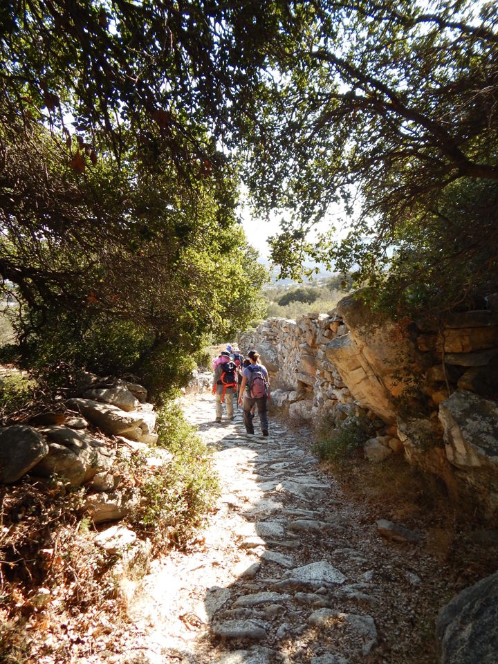 DSCN3984 Naxos Hike Pente Xoria