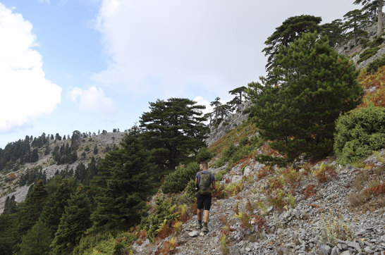 Hiking Mount Pyxarias Evia Greece 13