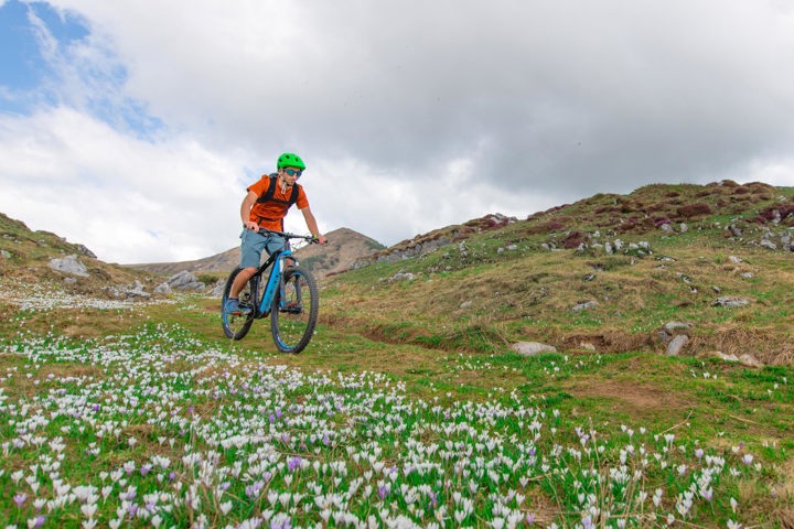 Mountain Bikers In A Spring Meadow Original 1173681 Ebike Krania Milia Metsovo Sitegallery 4