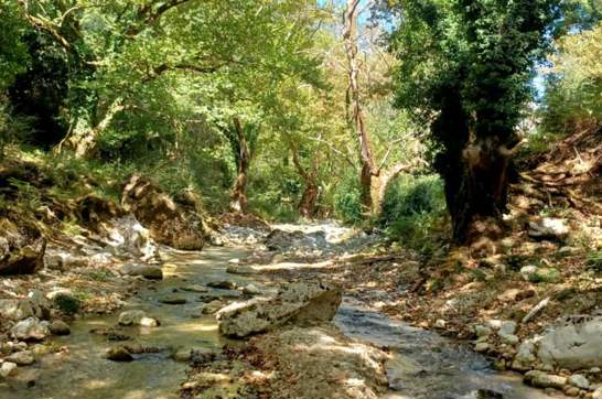 IMG 22Fe0cf45bb78d76ba4f752dcf5c05bc V