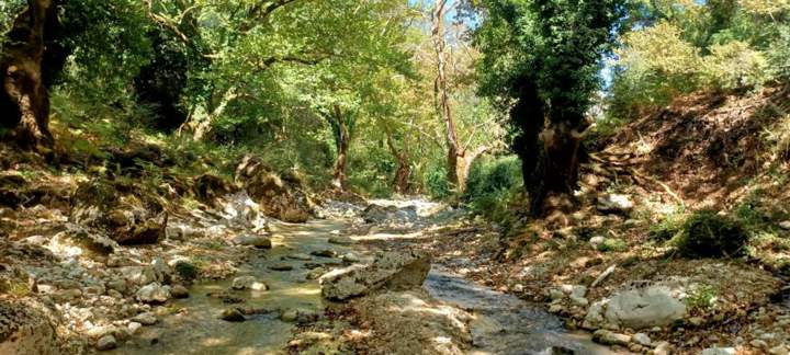 IMG 22Fe0cf45bb78d76ba4f752dcf5c05bc V