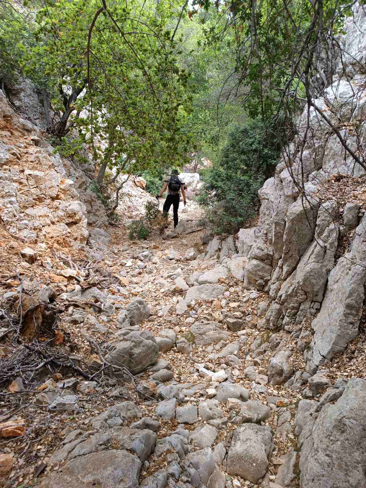 494573853 1539722240076276 7144485496921493045 N Αντιγραφή (1)