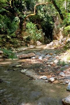 IMG 2F9db17371f4089edcda09fc3596bbbe V