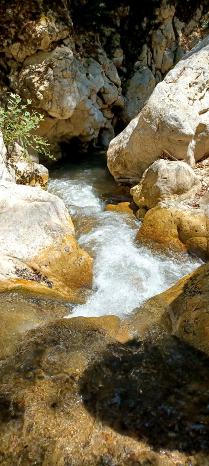 IMG 3Ddfc6e46ef97c3971a214749ca1a0be V