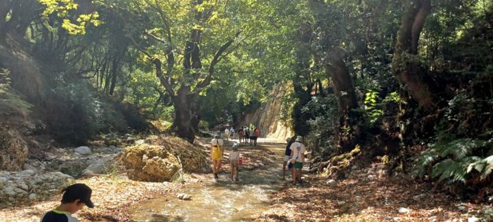 IMG 87Dface874128cb16c2463edb599e559 V