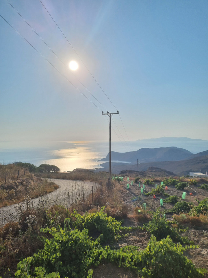20250718 185529 Country Hike Syros Wine Tasting Sitegallery