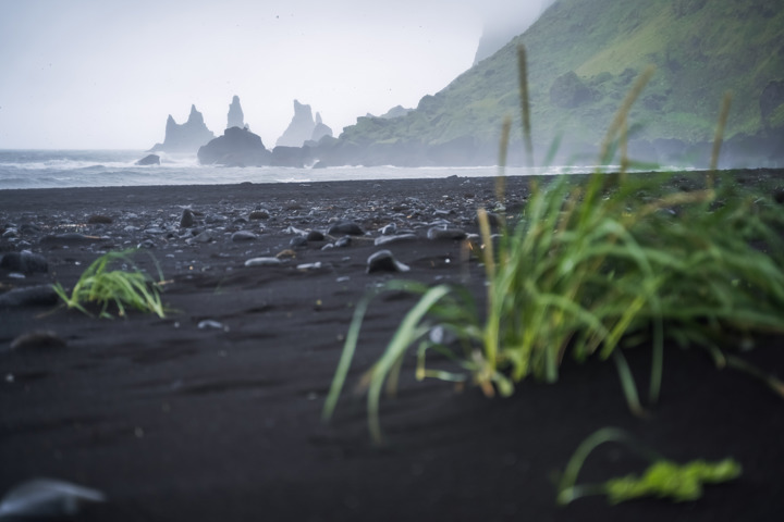 Black Sand On Rocky Beach In Vik Iceland 1419061