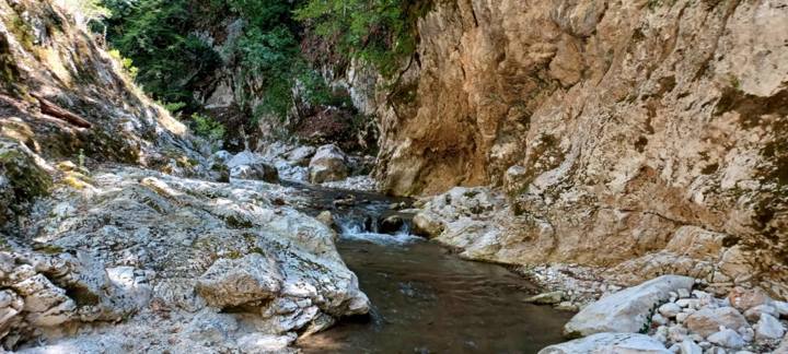 IMG 4Ff1ff4c4af6395d842c96c20bd64e38 V