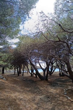IMG 20250403 144207 Pezoporiki Exerevnisi Ano Meria Syros Site Gallery