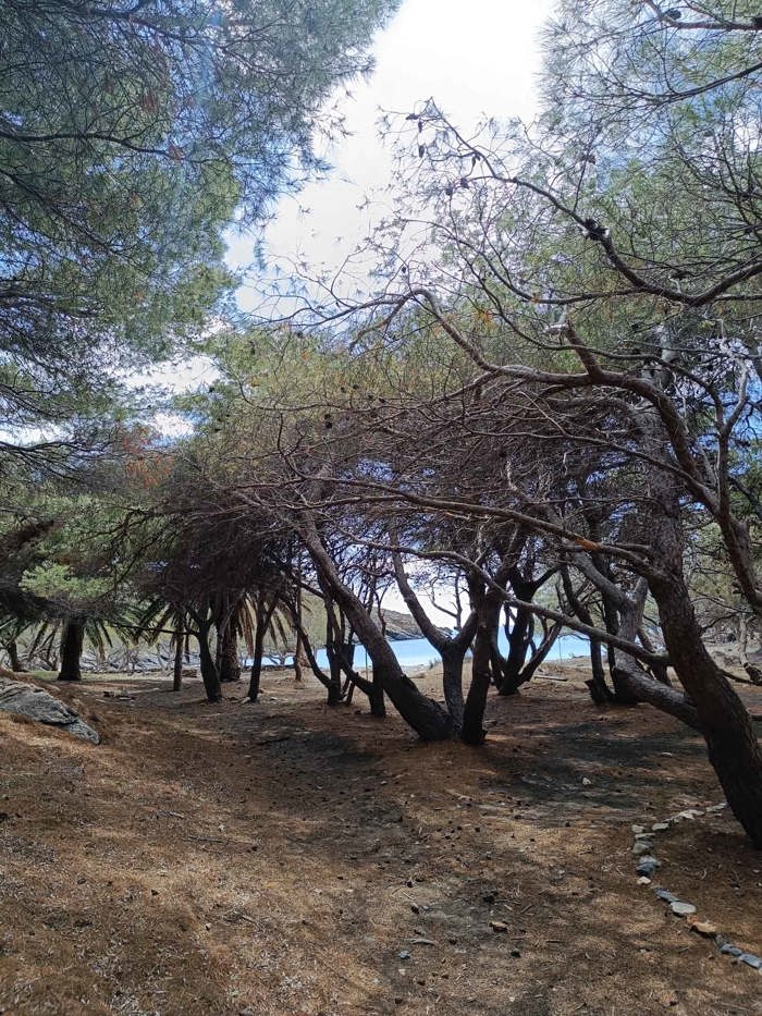 Apano Meria Natura 2000 landscape