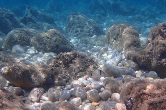 P5081762 Naxos Sea Kayak Amitis
