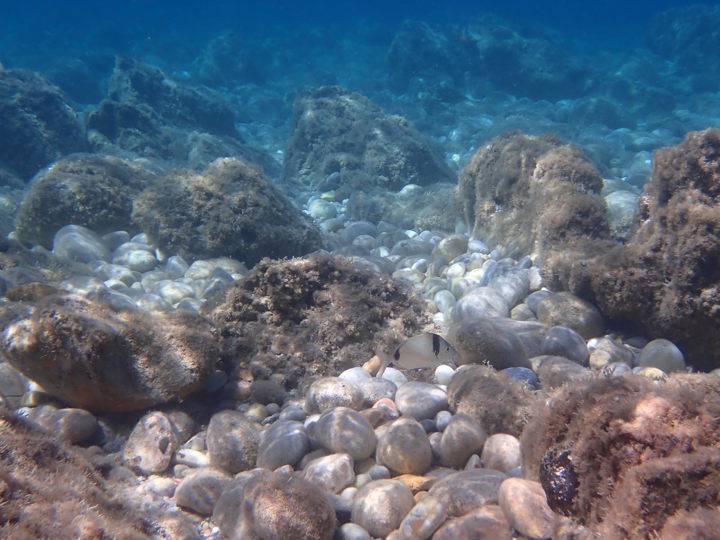 P5081762 Naxos Sea Kayak Amitis