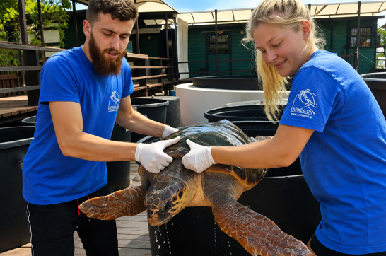 Syrei New Trekking Hellas Archelon Conservation Visit