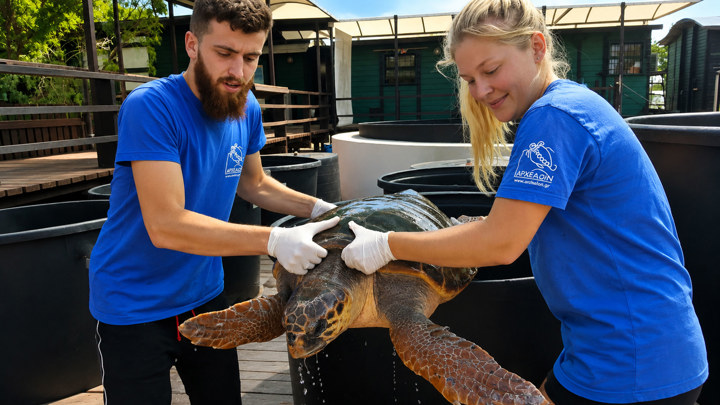 Syrei New Trekking Hellas Archelon Conservation Visit