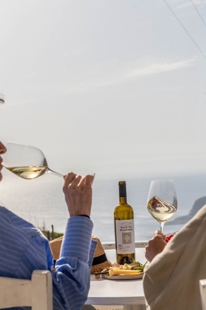 CHATZAKIS WINERY (8) Country Hike Syros Wine Tasting Sitegallery