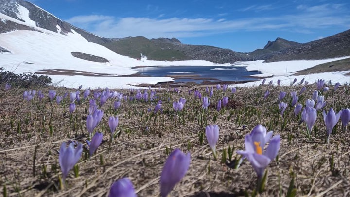 695C4031 EF85 4DF1 B328 217862727E13 Flega Verliga Limnes