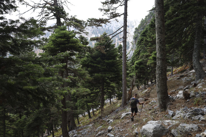 Hiking Mount Pyxarias Evia Greece 12