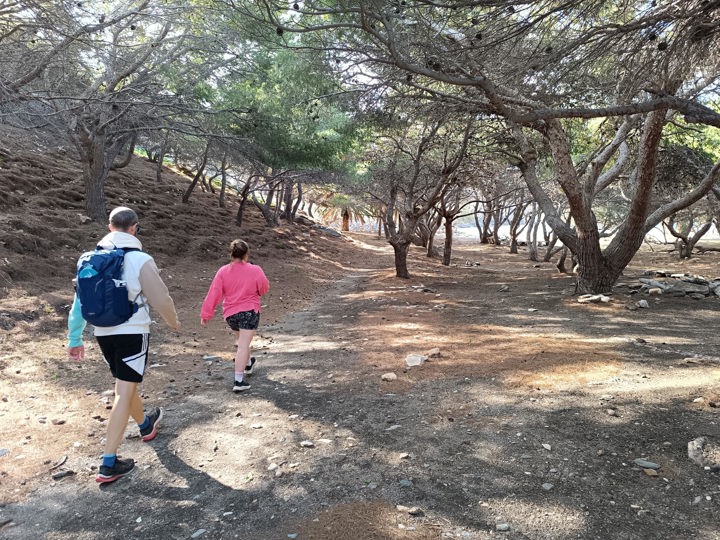 IMG 20251106 101424 Apano Meria Syros