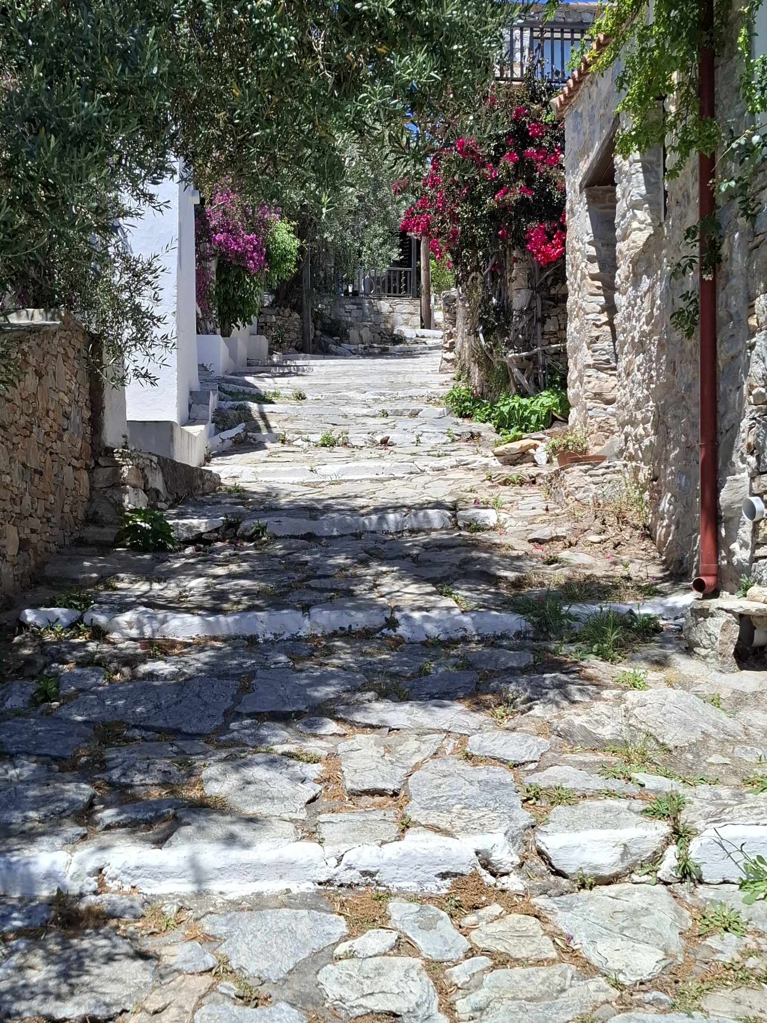 494574327 731935019331845 6560367735715239282 N Αντιγραφή