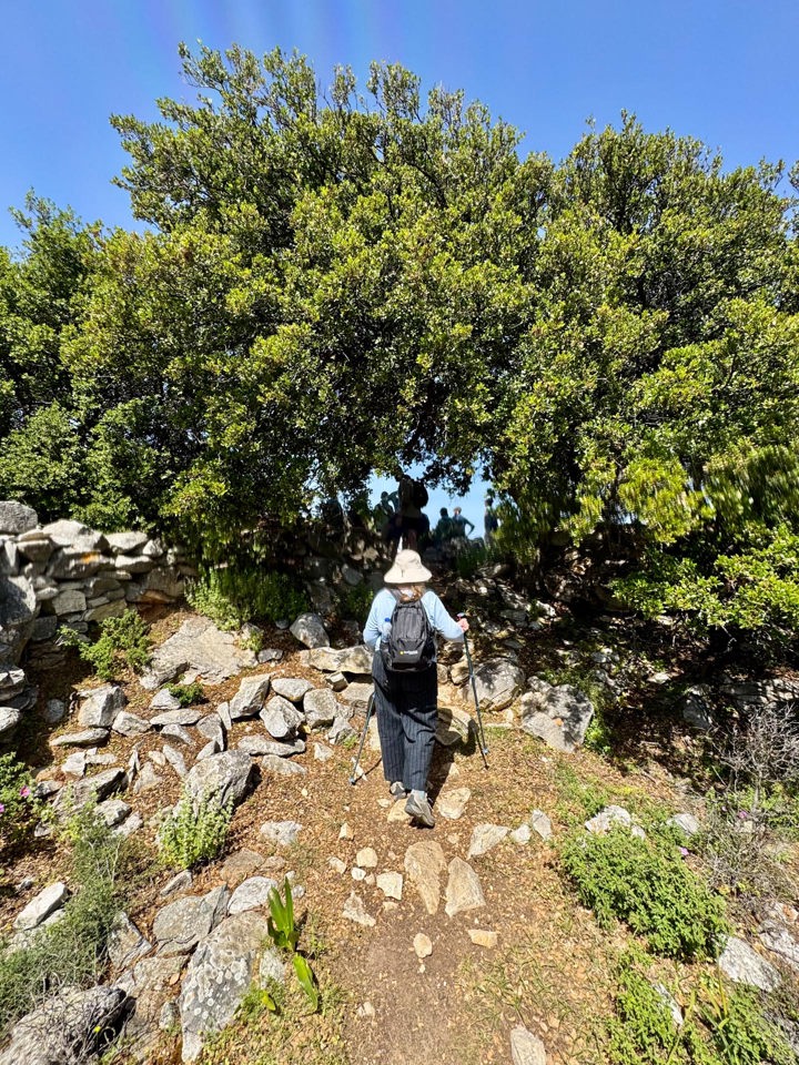 IMG 3468 Naxos Hike Pente Xoria