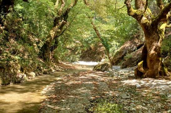 IMG 1358D985c270c0aaa298263562564cc4 V