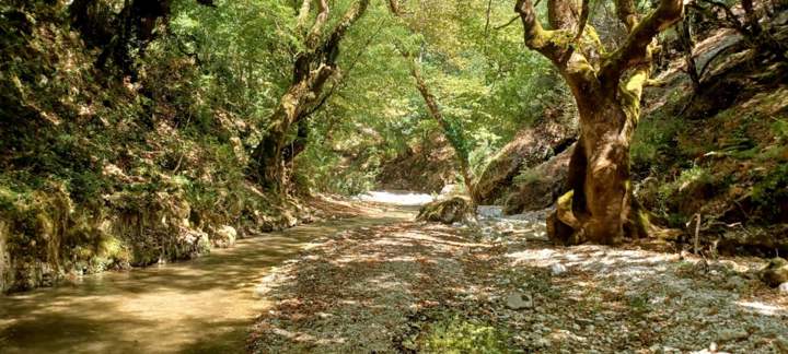 IMG 1358D985c270c0aaa298263562564cc4 V