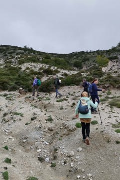 IMG 20240425 112017Lefkada Eglouvi Ionio Pezoporia