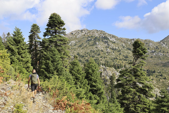 Hiking Mount Pyxarias Evia Greece 4