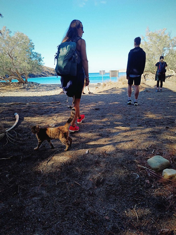 IMG 20251009 103046Syros Site Gallery