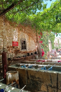 IMG 20250509 140221