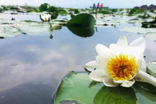 Lia Tzanidaki Cnv7quqsjxa Unsplash