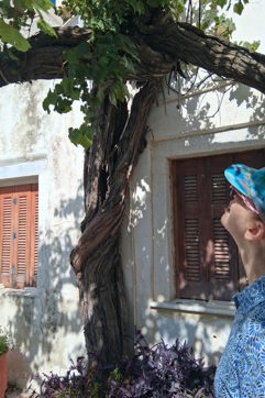 20251022 131546 Naxos Hike Pente Xoria