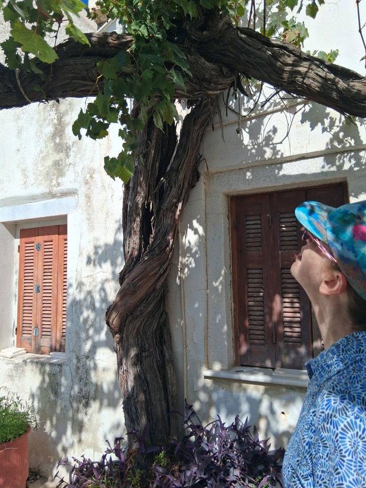 20251022 131546 Naxos Hike Pente Xoria