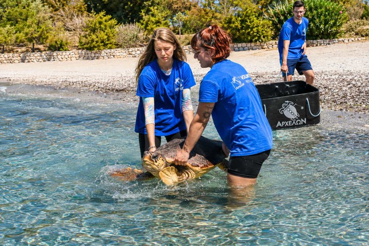 92 New Trekking Hellas Archelon Conservation Visit