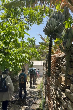 IMG 3477 Naxos Hike Pente Xoria