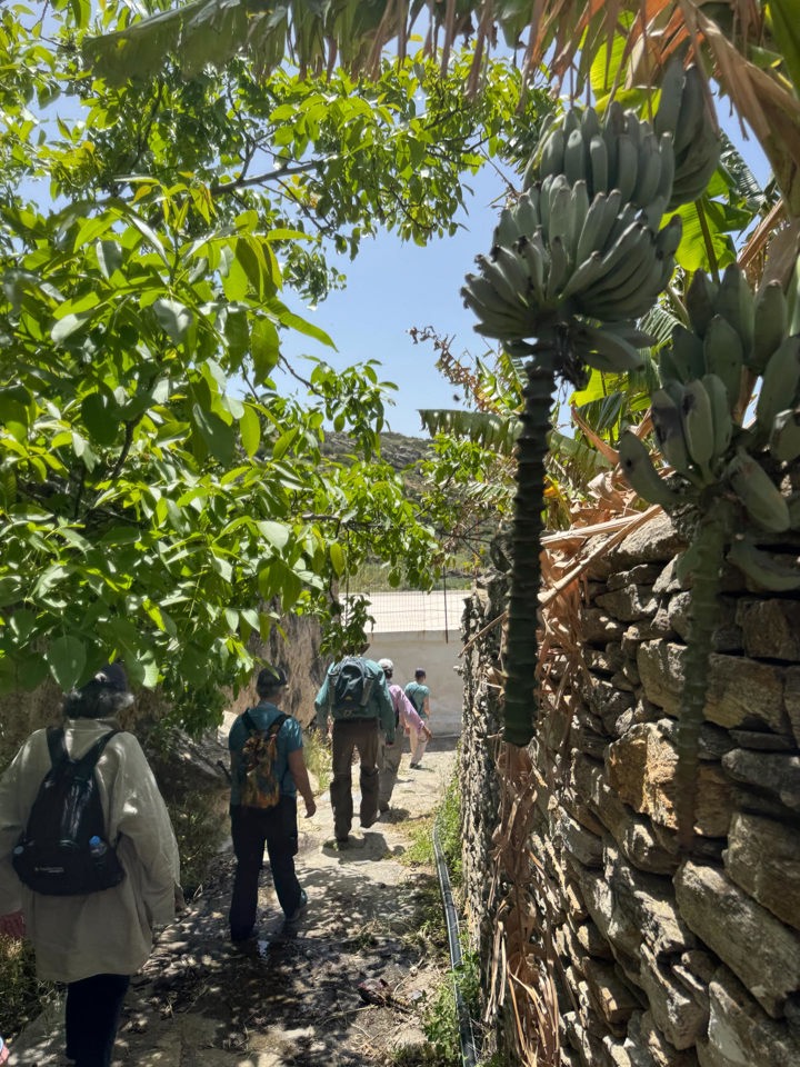 IMG 3477 Naxos Hike Pente Xoria