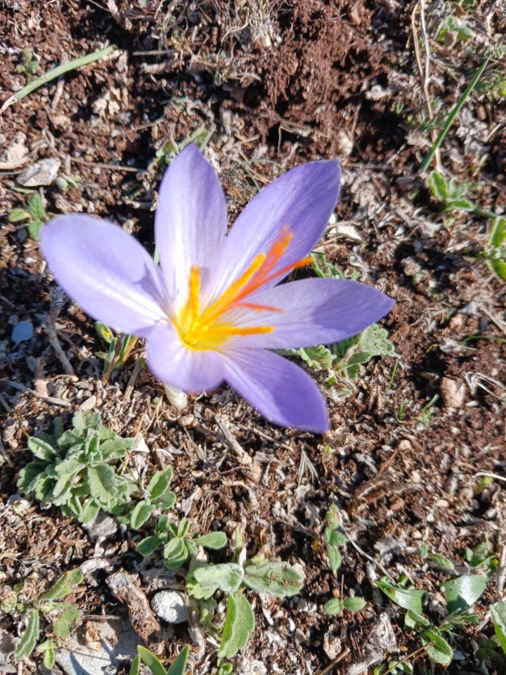Image00021