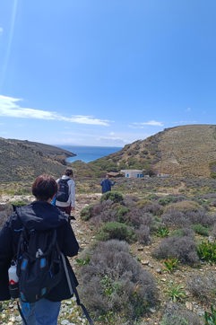 IMG 20250403 143343 Pezoporiki Exerevnisi Ano Meria Syros Site Gallery