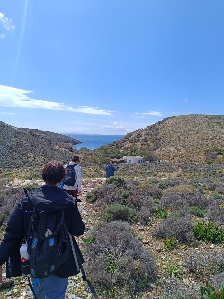 IMG 20250403 143343 Pezoporiki Exerevnisi Ano Meria Syros Site Gallery