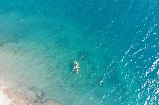 DJI 0095