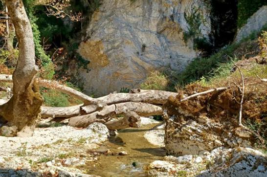 IMG 45470B88964e5603edd8b5ab7a368219 V