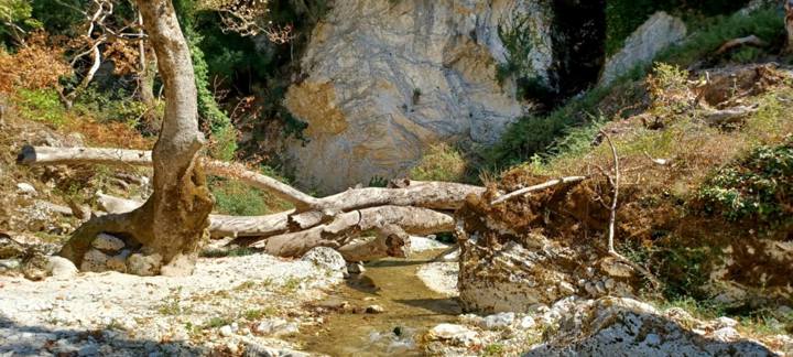 IMG 45470B88964e5603edd8b5ab7a368219 V