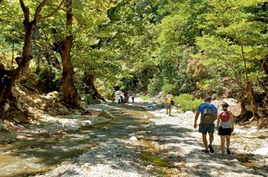 IMG F9b3ac0dad21fd58740d293b4f69ae63 V