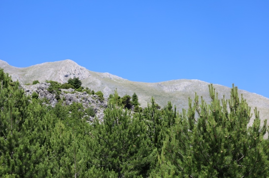 IMG 9660