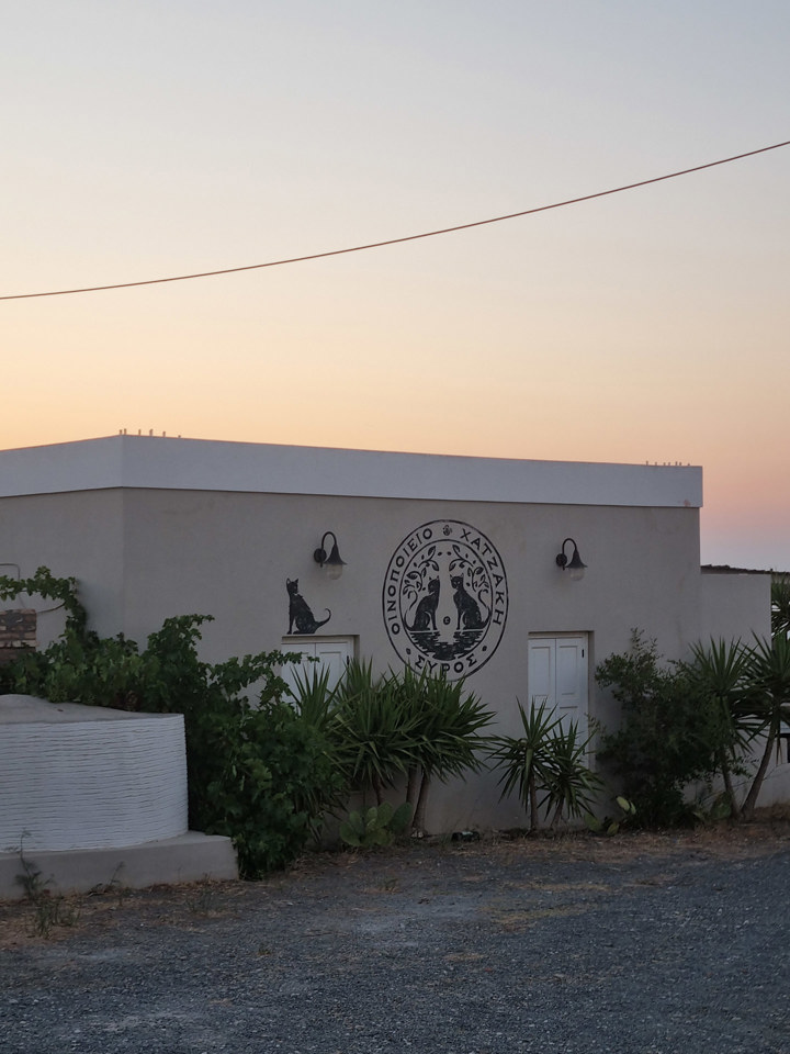 20250718 204212 Country Hike Syros Wine Tasting Sitegallery