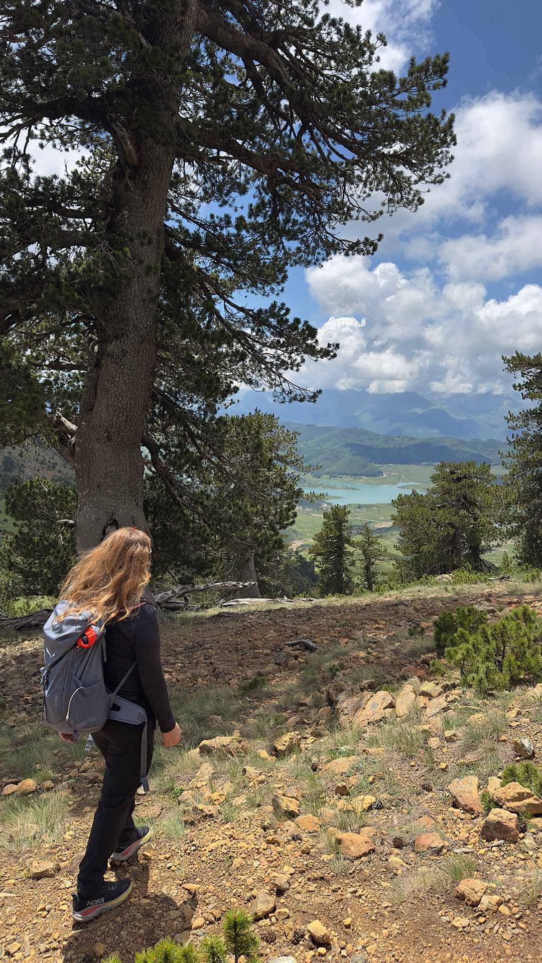 Hiking ΦΛΕΓΓΑ